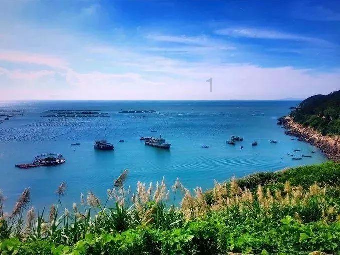 95号汽油步入9元时代，你会因此考虑买新能源车吗？游戏画面