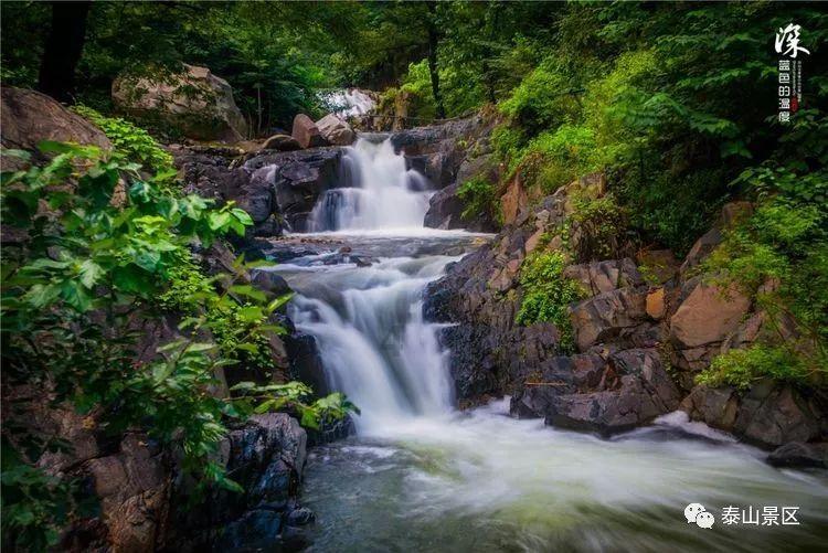 苏州高新区：夯实终端机制，为家庭教育筑基赋能